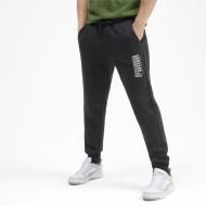 Брюки Puma Athletics Pants FL cl 58016201 р. L черный