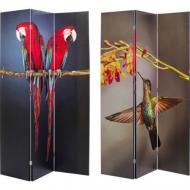 Ширма интерьерная KARE Design Twin Parrot vs Cute Colibri 1800x1200x25 мм разноцветный