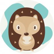 Раскраска по контурам Ежик круглячок RC00012XS 20x20 см Brushme Раскраска по контурам Ежик круглячок RC00012XS 20x20 см Brushme