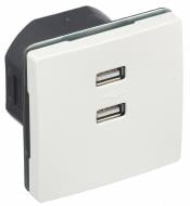 Розетка USB подвійна Siemens Style IP20 білий полярний 5TG13780WH