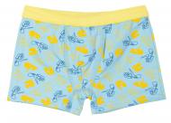 Трусики-боксеры для девочек KOSTA р.146–152 2264-4