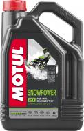 Моторное масло Motul Snowpower 2T 4 л (812207)