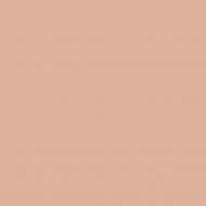 Краска фасадная силиконовая Farbmann Standart S мат TVT 4844 0,9 л