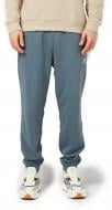 Брюки Converse STANDARD FIT WEARERS LEFT STAR CHEV EMB FLEECE PANT FT 10023873-459 р. 2XL зеленый