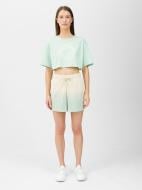 Шорты 4F SHORTS CAS F356 / SPODENKI F356 4FWSS24TSHOF356-47S р. 2XL разноцветный