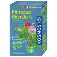 Набір для експериментів Kosmos Сад мімози (Mimosa Garden) 616809