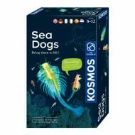 Набір для дослідів Kosmos Морські створіння (Sea Dogs) 616779