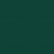 Краска универсальная резиновая Caparol FlexFarbe мат RAL 6005 2,35 л