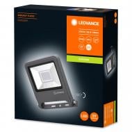 Прожектор Ledvance Floodlight Essential 4000K 30 Вт IP65 чорний