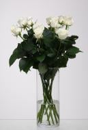 Роза Белуга одноголовая классическая 40 см белая (Украина)