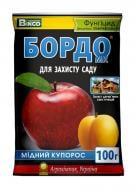 Мідний купорос Bingo Бордо МК 100 г