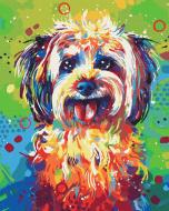 Картина за номерами Яскравий песик BS53044 40x50 см Brushme Картина за номерами Яскравий песик BS53044 40x50 см Brushme