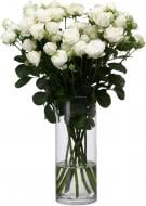 Троянда Міс Бомбастік спрей (кущова) класична 70 см біла (Україна)