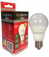 Лампа светодиодная Lumano 20 Вт A65 E27 175 В 6000 К 17185