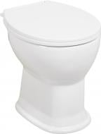 Унітаз Water House дачний Standart Focus 460x365x400 мм