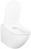 Унитаз подвесной Water House Urban Flow Cascade tornado Унитаз подвесной Water House Urban Flow Cascade tornado