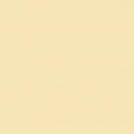 Краска фасадная силиконовая Farbmann Standart S мат TVT 4801 9 л