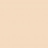 Фарба фасадна силіконова Farbmann Standart S мат TVT 4830 9 л