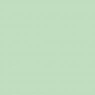 Боковина Грейд Олива глянец RAL6019 577х316 н/св топ модель