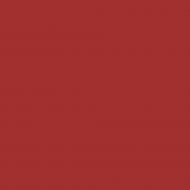 Боковина Грейд Красный глянец RAL3001 1175х576 н/св топ модель