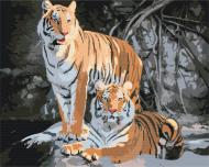 Картина по номерам Дикие тигры BS52793 40x50 см Brushme Картина по номерам Дикие тигры BS52793 40x50 см Brushme