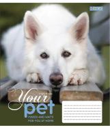 Тетрадь школьная 12 листов косая линия без д/л 1В Dog Loyality (765416) 1 вересня