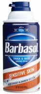 Піна для гоління Barbasol Sensitive Skin для чутливої шкіри 283 г