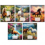 Тетрадь школьная 12 листов линия Stronger than the storm (767223) 1 вересня Тетрадь школьная 12 листов линия Stronger than the storm (767223) 1 вересня