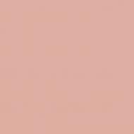 Краска интерьерная акрилатная TEKNOS BIORA PRIMER мат Диалог T1522 2,7 л