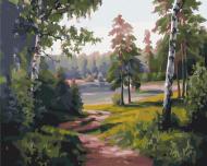 Картина по номерам Березовая долина BS52676 40x50 см Brushme Картина по номерам Березовая долина BS52676 40x50 см Brushme