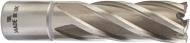 Фреза Milwaukee HSS (WELDON) 19 мм 4932343294
