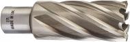 Фреза Milwaukee HSS (WELDON) 27 мм 4932343302