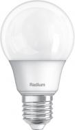 Лампа світлодіодна Radium 2 шт./уп. 10 Вт A60 матова E27 220 В 6500 К