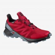 Кросівки чоловічі Salomon SUPERCROSS GTX L40917800 р.46 червоні