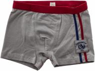 Трусы для мальчика Charmante р.128-134 серый с красными вставками 99070 ВХ
