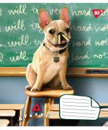 Тетрадь школьная 18 листов клетка Crazy Fun (765602) YES