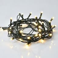 Електрогірлянда YES! Fun Нитка LED тепло-біла статичне світіння 40 ламп 4 м (975049)