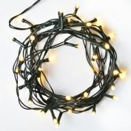 Електрогірлянда YES! Fun Нитка LED тепло-біла статичне світіння 20 ламп 2 м (975046)