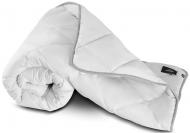 Одеяло антиаллергенное Thinsulate Royal Pearl 085 зима (2200000018847_220_240) 220x240 см MirSon