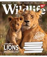 Зошит шкільний 18 аркушів клітинка Wild life (765836) YES