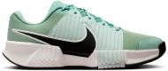 Кроссовки мужские Nike Zoom GP Challenge Pro IR2776-005 р.41 зеленые