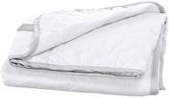 Одеяло бамбуковое Bamboo Royal Pearl 0405 деми (2200000036216) 110x140 см MirSon Одеяло бамбуковое Bamboo Royal Pearl 0405 деми (2200000036216) 110x140 см MirSon