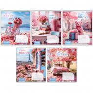 Тетрадь школьная 18 листов линия Girls dream (767259) 1 вересня