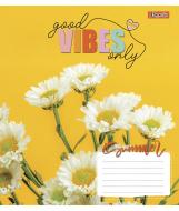 Тетрадь школьная 18 листов линия 1В Vibes (765848) 1 вересня