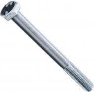 Болт метрический DIN 931 ЦБ 10x110 мм клас прочности 8,8 Expert Fix