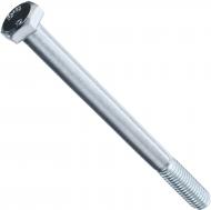 Болт метричний DIN 931 ЦБ 10x120 мм клас міцності 8,8 Expert Fix