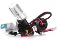 Автолампа ксеноновая WINSO 711600 H1 35 Вт 2 шт.(711600)