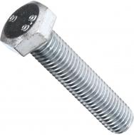Болт метрический DIN 933 ЦБ 14x65 мм клас прочности 8,8 Expert Fix