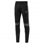 Брюки Puma BMW MMS T7 Track Pants 57778701 р. S черный
