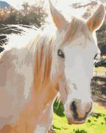 Картина по номерам Белая лошадь BS52518 40x50 см Brushme